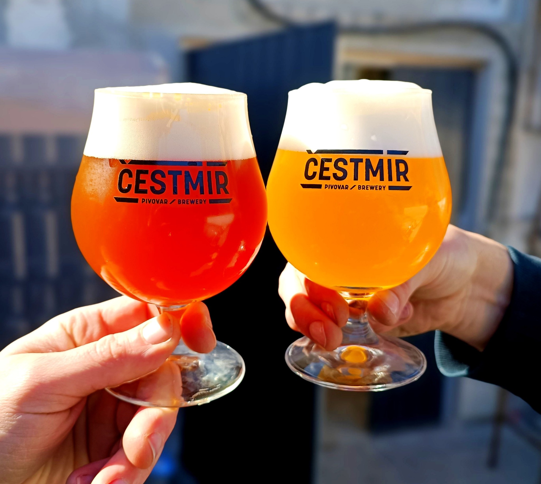 pivo Čestmír